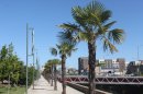 Cherbourg : arrière du CC